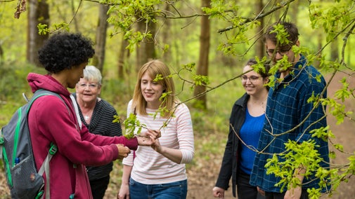 A group of people in a woodland in spring looking at the new leaves emerging.